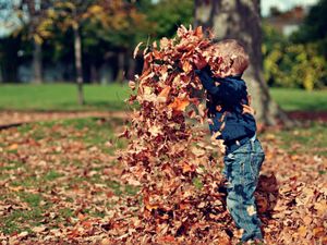Supporting image for story: New play area unveiled in Lichfield