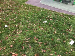 Discarded Covid tests found in Castlecroft, Wolverhampton. Photo: Ellis Turrell