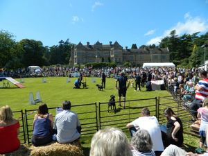 Admiring looks from the crowd to dogs taking part in a previous Ludlow Dog Day