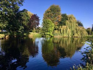 Autumnal tints at Whittington Castle moat