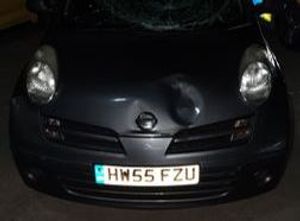 Supporting image for story