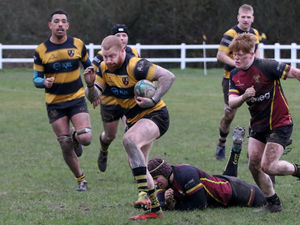 Supporting image for story: Telford Hornets send the leaders a warning