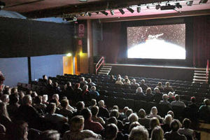 Supporting image for story: Crowds flock to see The Artist in Telford