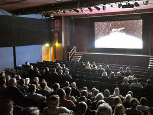 Supporting image for story: Crowds flock to see The Artist in Telford