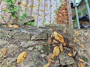 A loose stone at the top of the wall. Picture: Longmynd Consultants
