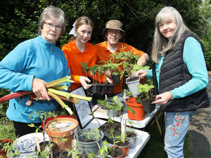Supporting image for story: Green army educate Salopians on how to reduce their carbon footprint