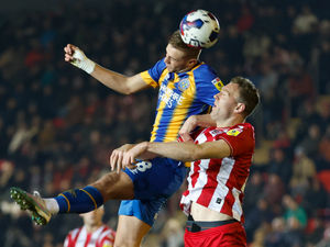 Supporting image for story: Ollie Westbury comment: Shrewsbury's unbeaten run should come as no surprise