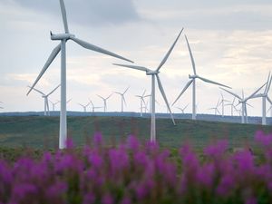 Supporting image for story: Fact check: Renewables Obligation already set to be reduced for three years