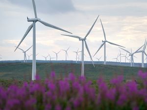 Supporting image for story: Fact check: Renewables Obligation already set to be reduced for three years