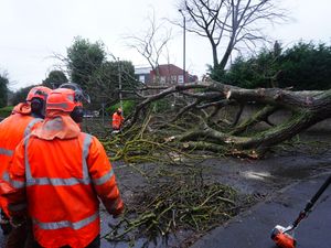 Supporting image for story: Storm Chandra brings flooding, travel disruption and school closures across UK