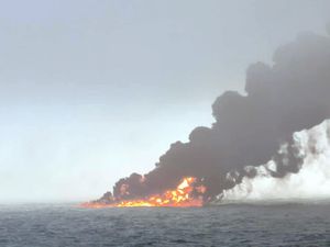 Supporting image for story: Birds and seals at risk from North Sea crash, charity says