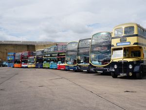 Supporting image for story: The Bush Bash returns this weekend for first time since 2019