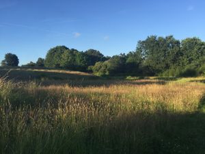 Supporting image for story: Residents speak out against Cannock meadow housing plans