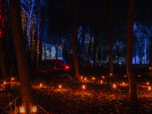 Supporting image for story: Stunning light trail opens at Illuminated Arboretum