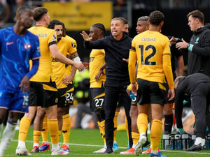 Supporting image for story: Wolves must embrace 'underdog' tag to get out of rut