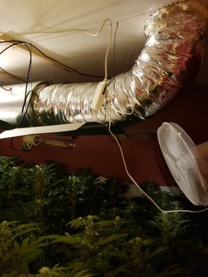 Picture: @WestBromwichWMP