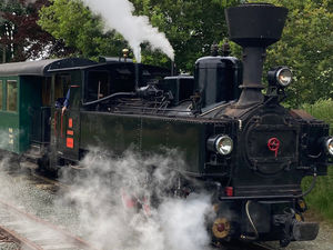 Supporting image for story:  Welshpool & Llanfair Light Railway back on track next month
