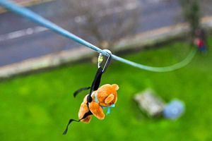 Supporting image for story: Ready, teddy, go! Cuddlies' intrepid fundraiser