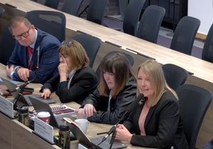 Councillor Carolyn Healy speaking at a meeting of Telford & Wrekin Council cabinet. Picture: Telford & Wrekin Council