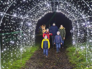 Supporting image for story: The festive trail bringing the magic of Christmas to Shropshire 