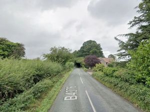 Supporting image for story: Girl, 17, who died after car hit tree near Much Wenlock is named