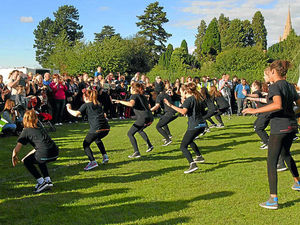 Supporting image for story: Telford teenagers raise £1,000 at Georgia Williams memorial festival