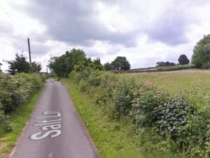 Supporting image for story: Romany Gypsy family granted permission for new site near Sandon