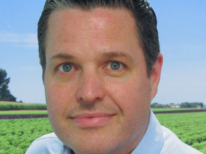 Supporting image for story: Meat and dairy ad returns to screens