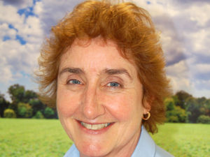 Supporting image for story: Steps to the recovery for sick pigs