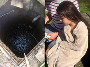 Supporting image for story: Bridgnorth girl, 8, violently ill after falling into pub sewage tank