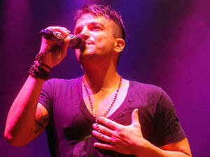 Supporting image for story: Peter Andre to play Birmingham NIA