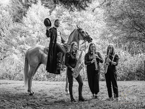 Supporting image for story: Spectacular equestrian show announced for county