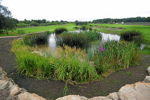 Landscaping work takes shape at the golf club