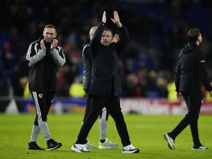 Supporting image for story: Wales to host Bosnia and Herzegovina in World Cup qualifying play-off semi-final