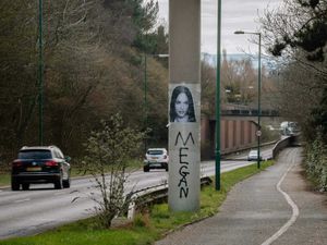 Supporting image for story: Roadside shrine to Hollywood's Megan Fox leaves Shrewsbury motorists scratching their heads
