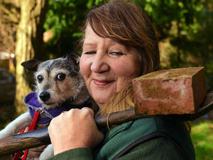 Supporting image for story: Shropshire animal rescue centre raises £140,000 toward project to find new home