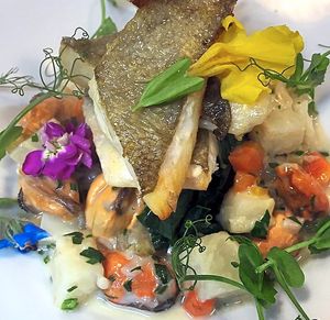 Baked Turbot fillet, on celeriac and mussels