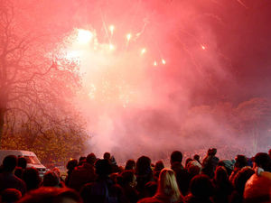 Supporting image for story: Probe over Brunswick Park fireworks injuries