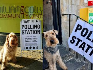 Supporting image for story: Dogs pose outside polling stations as owners urge voters to do ‘civic duty’