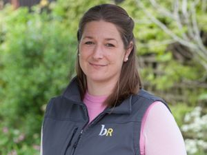 Supporting image for story: Property market springs back to life 