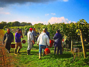 Supporting image for story: Poll: Should we tighten our borders to European Union immigration?