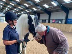 Supporting image for story: Dementia patients take a trip to stables courtesy of Friends group