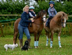 Supporting image for story