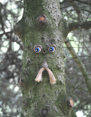 Some of the Tree People have moustaches and facial hair