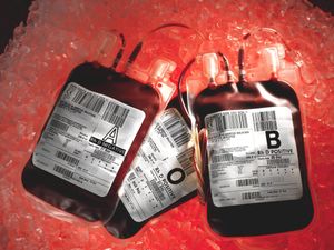 Supporting image for story: Three ex-health secretaries urge immediate payouts for infected blood victims