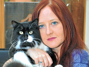 Supporting image for story: Warning as cat is shot in the leg