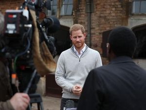 Supporting image for story