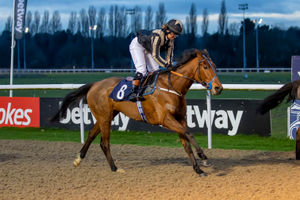 Tia Phillips rode in the 4.30 Betway Amateur Riders' Handicap on Lovely Lou Lou. Image: Jonathan Hipkiss Photography