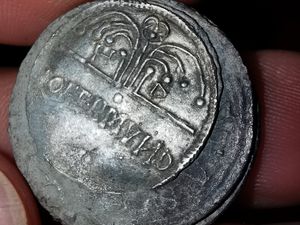 Supporting image for story: Silver coins and a gold ring among latest buried treasure unearthed in Shropshire