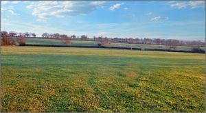 The land at Whitton